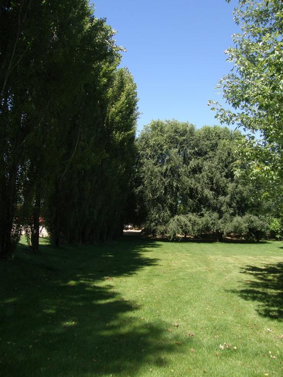 Agriturismo Greppi Crescentino Luaran gambar